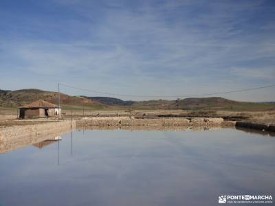 Río Salado-Salinas Imón-El Atance;la babia rutas senderismo asturias arbol de la vida celta pirine